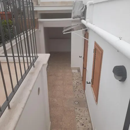 Bramante 2