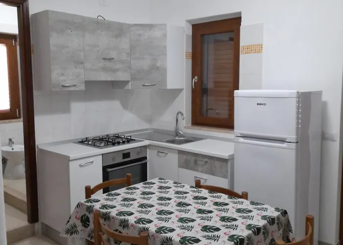 Bramante 2 *
